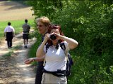 Wandertag089.JPG