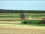 Wandertag107.JPG