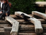 IMG_0153.JPG