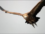 IMG_0257.JPG