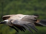IMG_0262.JPG