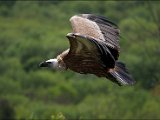 IMG_0278.JPG