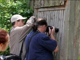 IMG_0338.JPG