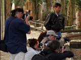 IMG_0355.JPG