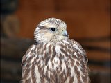 IMG_0362.JPG