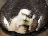 IMG_0382.JPG