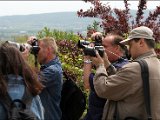 IMG_0396.JPG