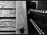 IMG_0482 frame.jpg