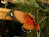 IMG_0089.JPG