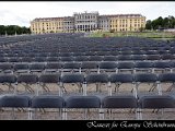 IMG_3137.JPG