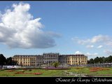 IMG_3172.JPG