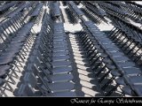 IMG_3176.JPG