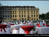 IMG_3197.JPG