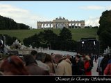IMG_3221.JPG