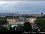 IMG_3290.JPG