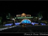 IMG_3508.JPG