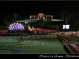 IMG_3515.JPG
