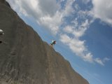 IMG_2767.JPG