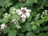 IMG_2889.JPG