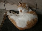 IMG_2924.JPG