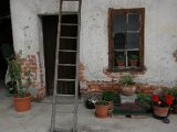 IMG_2929.JPG