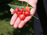 IMG_3076.JPG