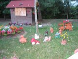 IMG_6260.JPG