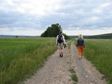 IMG_6318.JPG