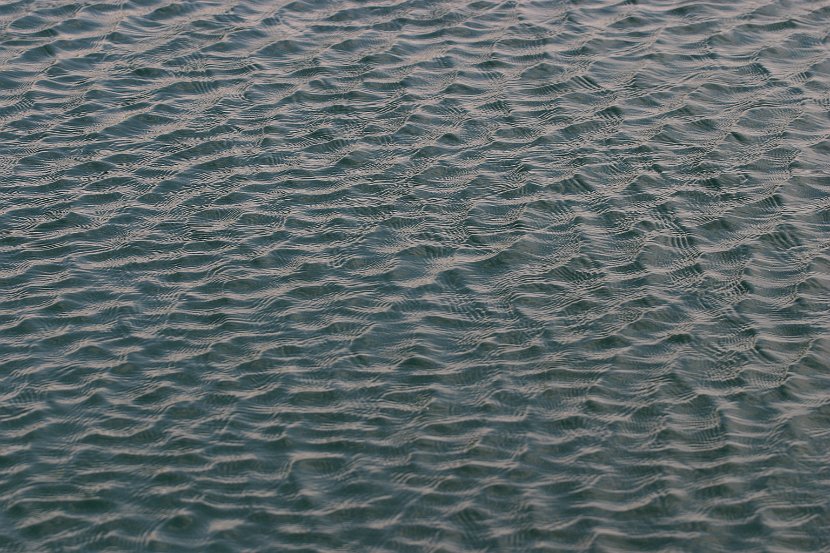 IMG_4669