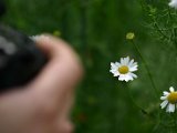 IMG_2039.JPG