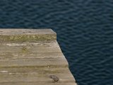 IMG_4673.JPG