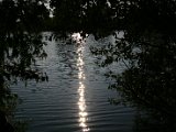 IMG_4696.JPG