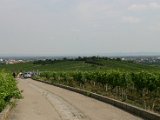 20050716_Fossi35