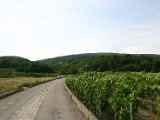 IMG_4882.JPG