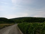 IMG_4883.JPG