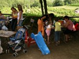 IMG_4913.JPG