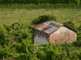 IMG_4937.JPG