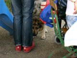 IMG_5034.JPG