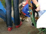 IMG_5035.JPG