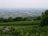IMG_5050.JPG
