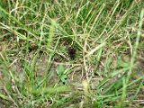 IMG_5157.JPG