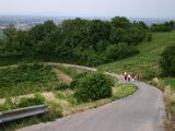 IMG_5159.JPG