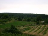 IMG_5164.JPG