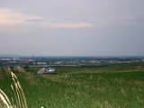 IMG_5182.JPG