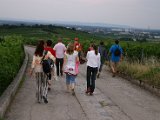 IMG_5184.JPG