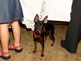 IMG_6886.JPG