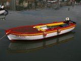 IMG_7077.JPG