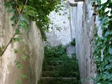 IMG_7211.JPG