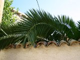 IMG_7257.JPG
