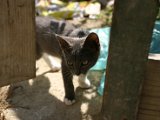 IMG_7269.JPG